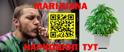 сатива Жуковский